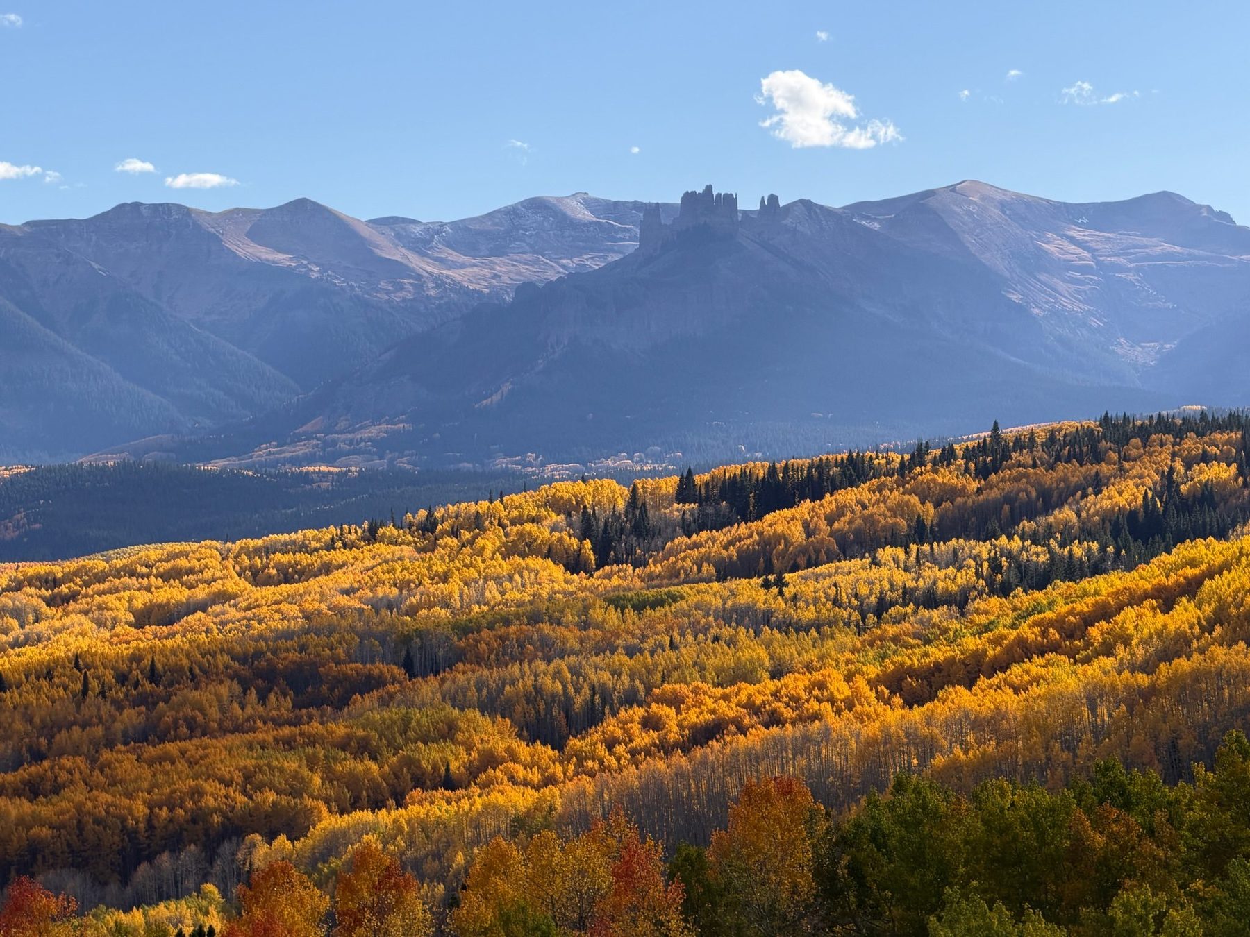 Golden autumn aspens blanketing a Colorado mountain hillside
